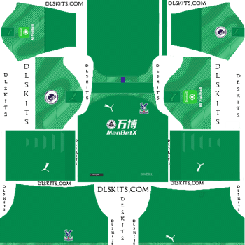 Crystal Palace FC 2019-2020 Dream League Soccer Kits & Logo Crystal Palace FC Goalkeeper Home Kit 2019-20 Dream League Soccer Kits