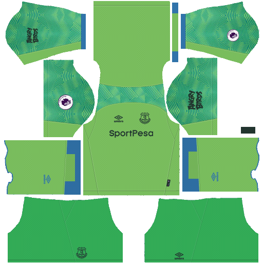 Dream League Soccer Kits Everton Kit & Logo 2018-2019 URL 512x512 - Goalkeeper Home