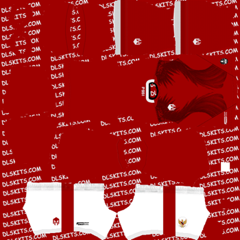 Indonesia 2020 Dream League Soccer Kits | DLS 21 Kits