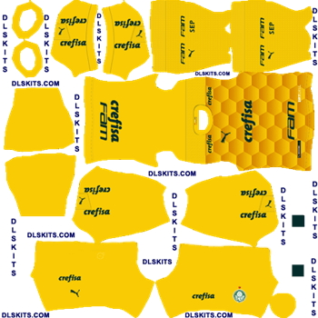 Palmeiras 2020 Goalkeeper Home Dream League Soccer Kits