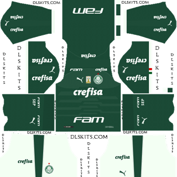Palmeiras Kit 2019-2020 – Dream League Soccer Kits and Logo