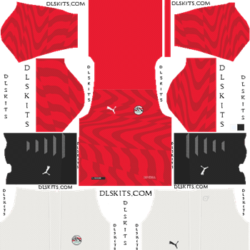 Puma Egypt Home Kit 2019 - DLS 19 Kits - Dream League Soccer Kits URL