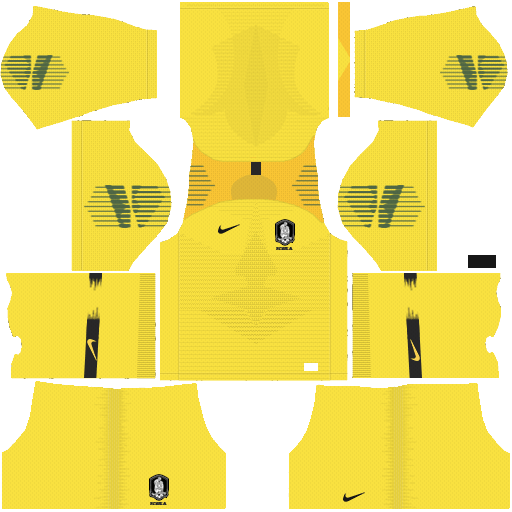 South Korea World Cup 2018 Dream League Soccer Kits 512x512 URL - GOALKEEPER